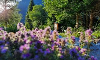 Outdoor Yoga im Kneipp & Relax Garten Alfenz