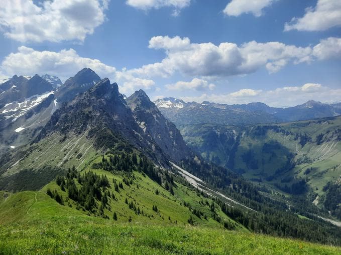Geführte Alpine Kräuter- & Naturwanderung zur Wangspitze mit Ruth