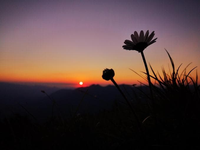 Picknick-Abendwanderung mit Blick auf die Alpenstadt Bludenz