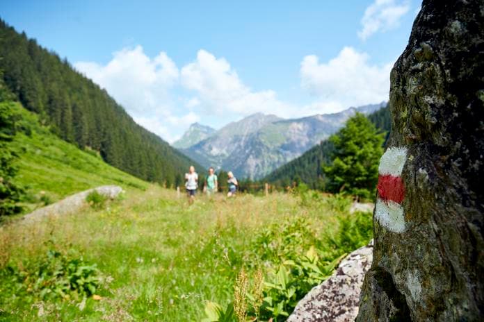 Mit dem Alpbus zur Alpe Nenzigast - Hinfahrt