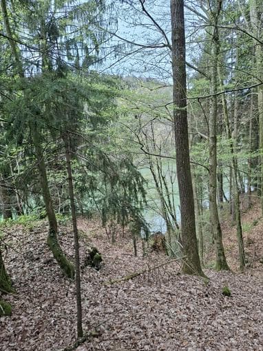 Pilgerwanderung: Von der Natur zur Zeit der Sommersonnwende pilgernd berühren la