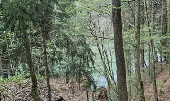 Pilgerwanderung: Von der Natur zur Zeit der Sommersonnwende pilgernd berühren la