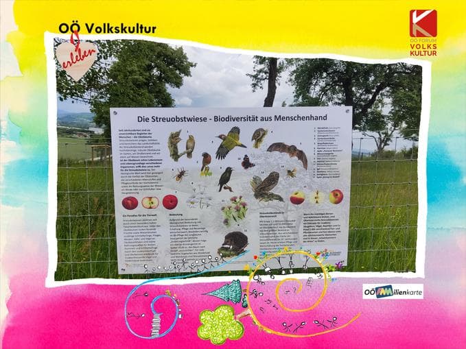 Volkskultur erleben | Streuobstanbau im Sumerauerhof