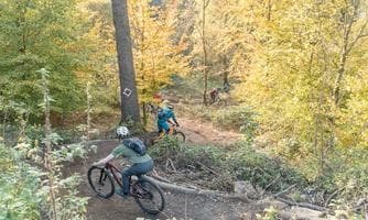 Pfenningberg-Trails | Wochenend Fahrtechnikkurse und Tourenguiding auf den Upper