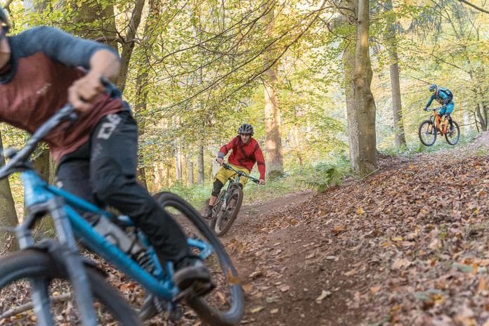 Pfenningberg-Trails | Mountainbike-Fahrtechnikkurse und Tourenguiding auf den Up