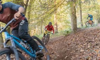 Pfenningberg-Trails | Mountainbike-Fahrtechnikkurse und Tourenguiding auf den Up