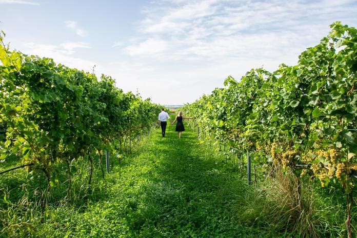 Wege zum Wein - mit Sturm im Glas