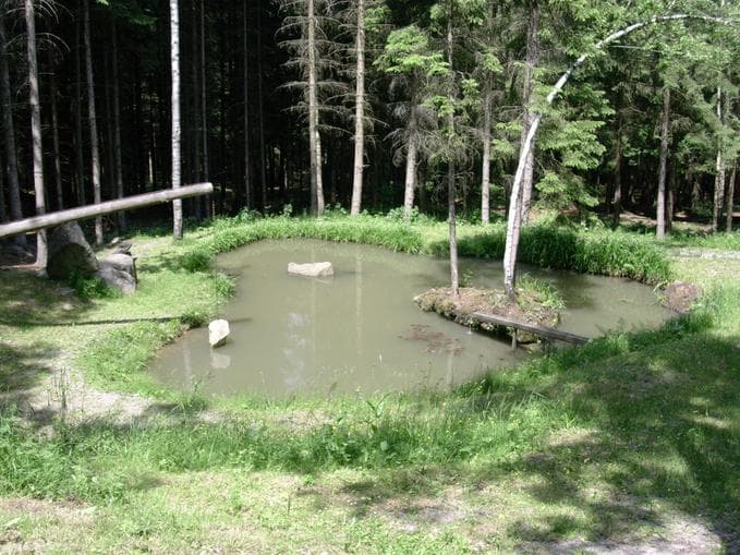 Zwischen Donau und Fuchsenloch – gemeinsam auf dem richtigen Weg in Vichtenstein