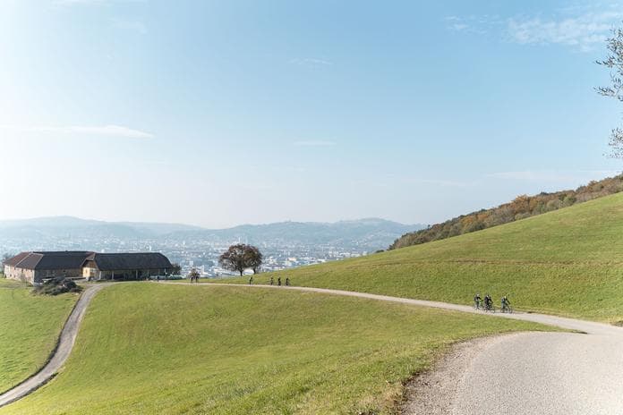 Pfenningberg-Trails | Mountainbike Skills Courses and Guided Tours on the Up