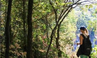 Kräuterwanderung Naturwanderweg Lessern