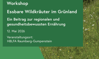 Workshop Essbare Wildkräuter im Grünland