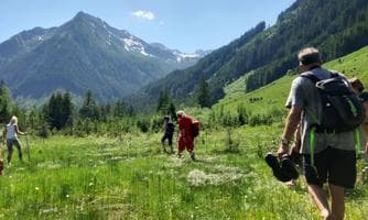 Kuh von Pflanze verschlungen - Keinen Tau von der Natur