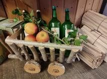 Genusstag "Apfelsaft und Co"