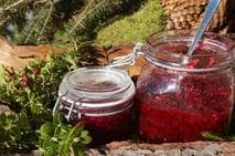 Genusstag "Schwarzbeer & Preiselbeeren"