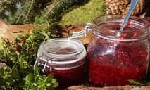 Genusstag "Schwarzbeer & Preiselbeeren"