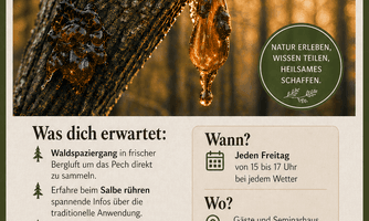 Vom Baum zur Salbe - Lärchpechsalbe rühren