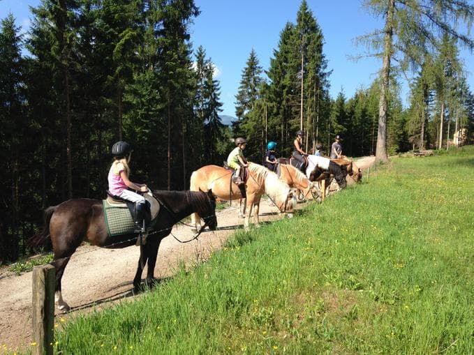 Ein Sommer rund ums Pferd