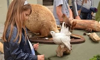 Naturpark Karwendel zu Gast in Hall