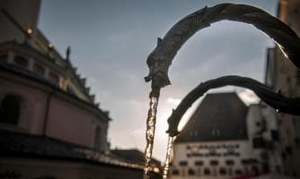 Themenführung: Von wilden Häuptern, Salzkristallen, Fröschen und einer Königin