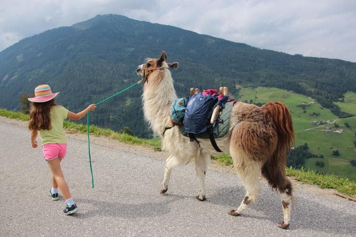 Geführte Lamatrekkingtour im Sommer