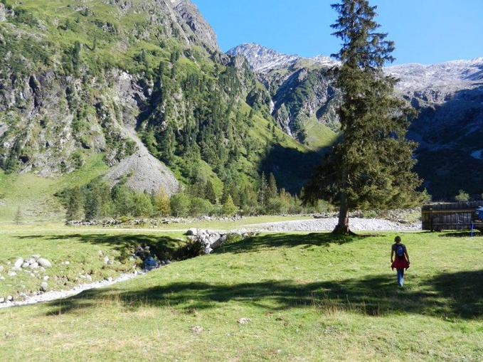 Die Heimat des Steinbocks in Lüsens erwandern (ca. 30 km von Innsbruck)