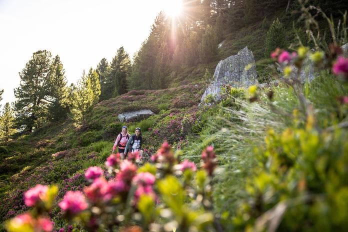 Naturführung am Patscherkofel