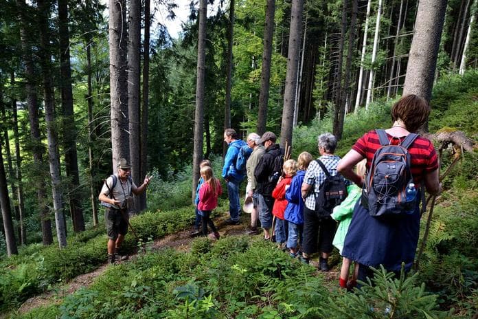 Kreative Sommerwerkstätte - Familie auf der Pirsch