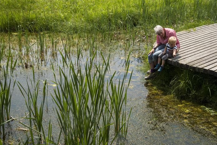 Kreative Sommerwerkstätte - Abenteuer Naturschutzgebiet Schwemm