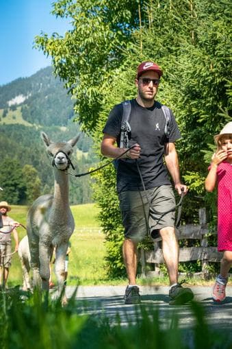 Kreative Sommerwerkstätte - Spaziergang mit Lamas und Alpakas