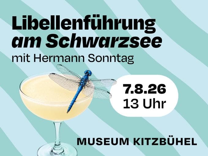 Libellenführung am Schwarzsee