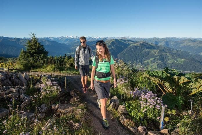 Geführte Sommerwanderung
