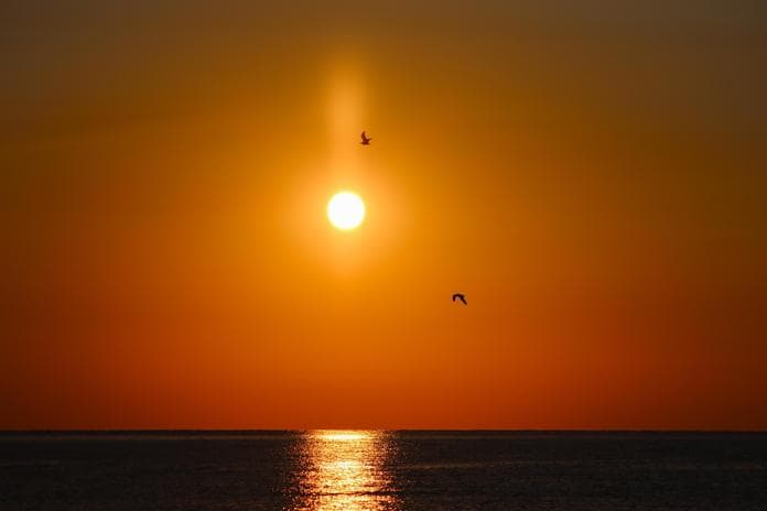 Ausstellung "summer is calling"