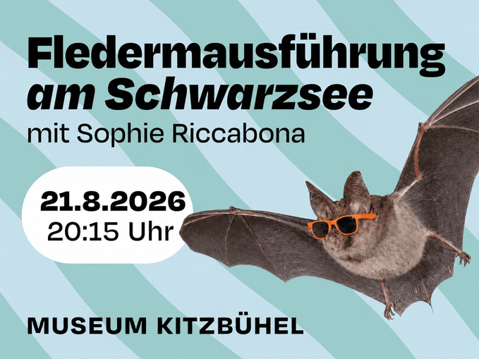 Fledermausführung am Schwarzsee - abgesagt