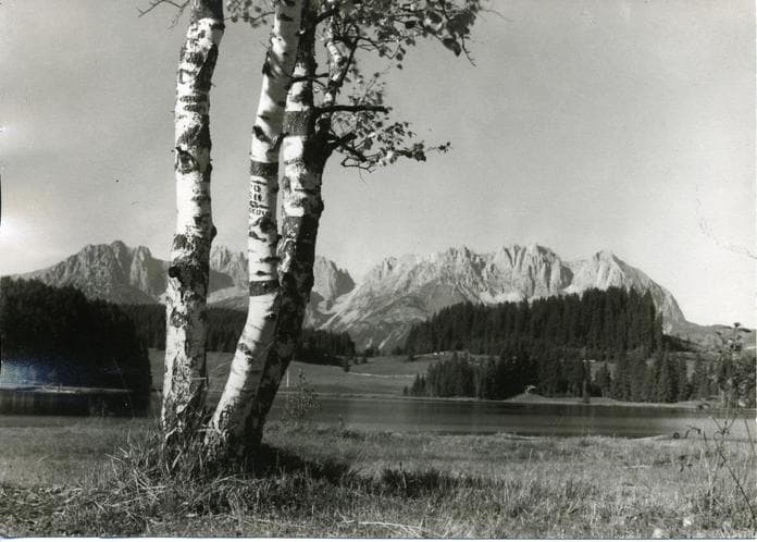 Führung Sonderausstellung "Biber, Birke, Badegast"