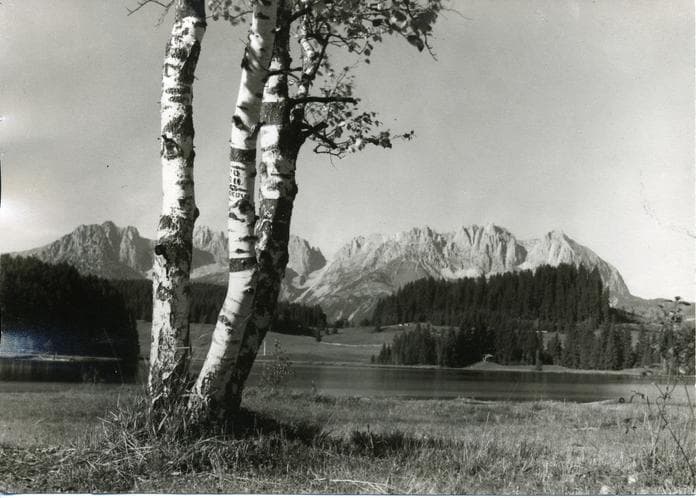 Führung Sonderausstellung "Biber, Birke, Badegast"