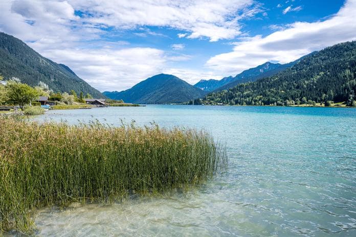 Hilf dem Schilf im Naturpark Weissensee