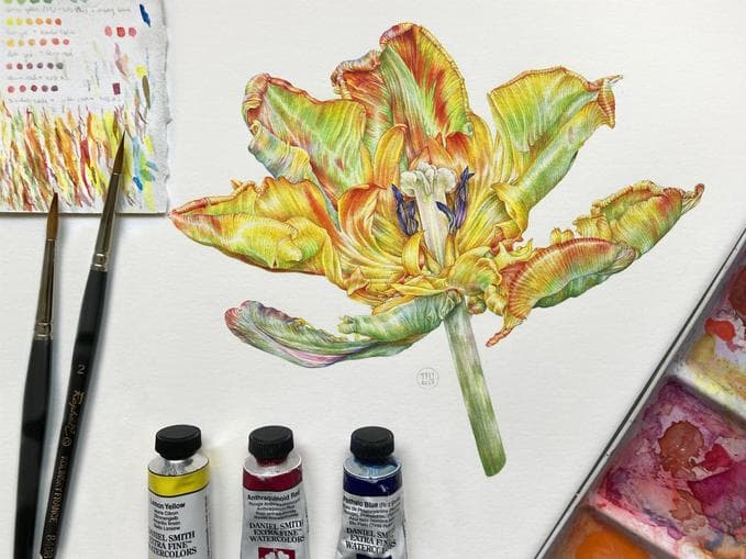 Botanische Malerei - Intensivkurs Aquarell