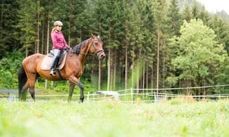 Reiten Schnuppern