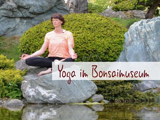 Sommeryoga im Bonsaimuseum mit Barbara