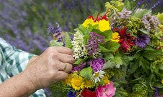 Duftendes Blumen- oder Kräuterkranzl binden