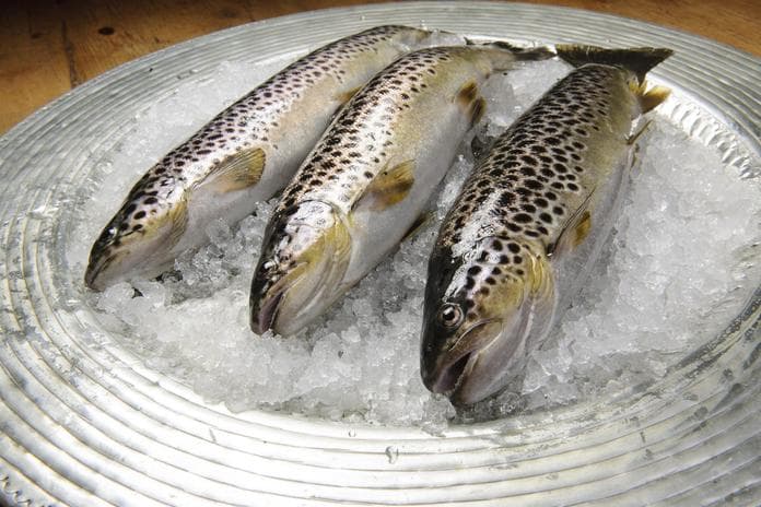 Slow Fish & Wine Tafelrunde im Hotel Lindenhof