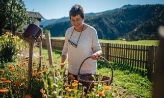 e Kraft wilder Bergkräuter