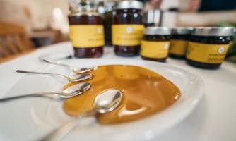 Geschmacksschulung Honig aus der Region