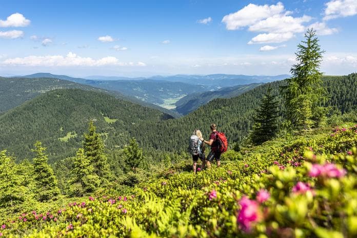 Wanderbus auf die Flattnitz