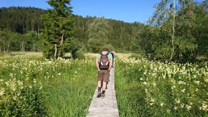 Das Hörfeldmoor: unvergleichliche Artenvielfalt