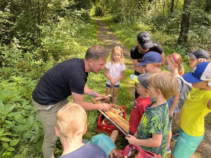 Klopf auf Holz – Musikalische Abenteuer im Wald