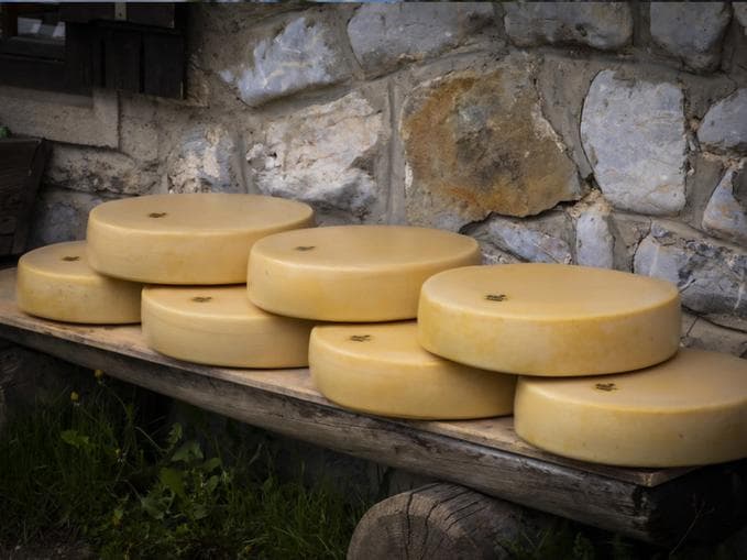 Käsekurs auf der Straniger Alm