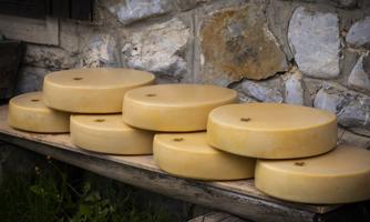 Käsekurs auf der Straniger Alm