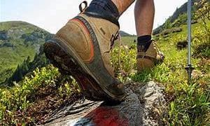 Geführte Wanderung - Stöfflerberger Almrunde