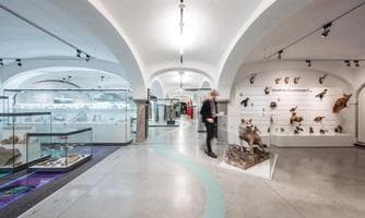 Besichtigung des Museums im Lavanthaus
